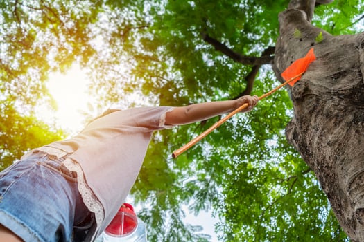 An Asian girl is adventuring in a wide world. Along with a bug catcher and Catching insects photo