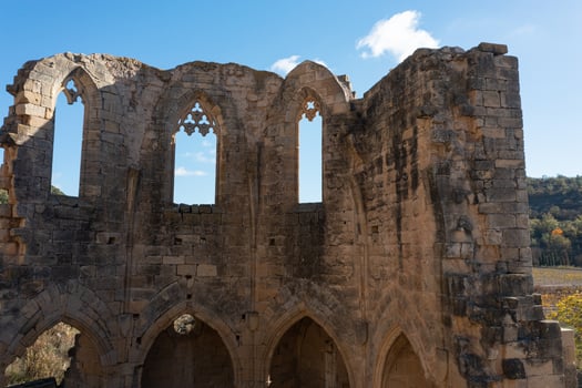 Aerial view of ruins of the abbey of Santa Maria de Vallsanta , Lleida photo
