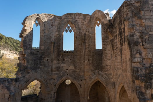 Aerial view of ruins of the abbey of Santa Maria de Vallsanta , Lleida photo