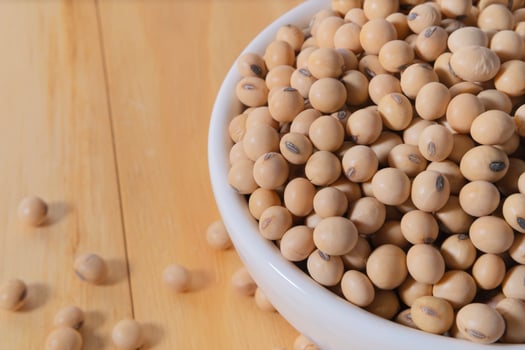 soybeans or soya beans in a bowl on white photo