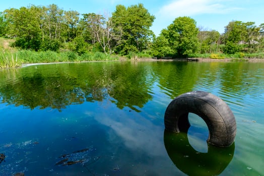 Car tire in water, Green lake reflecting the trees on its bank on a sunny day photo