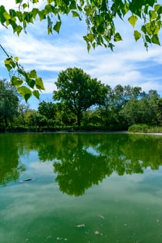 Green lake reflecting the trees on its bank on a sunny day photo
