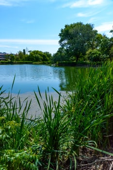 A tranquil pond surrounded by lush green grass and trees photo
