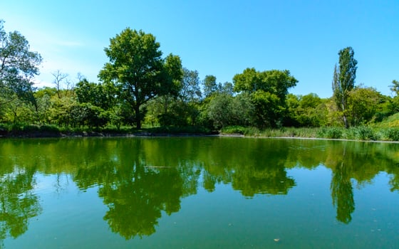 Green lake reflecting the trees on its bank on a sunny day photo