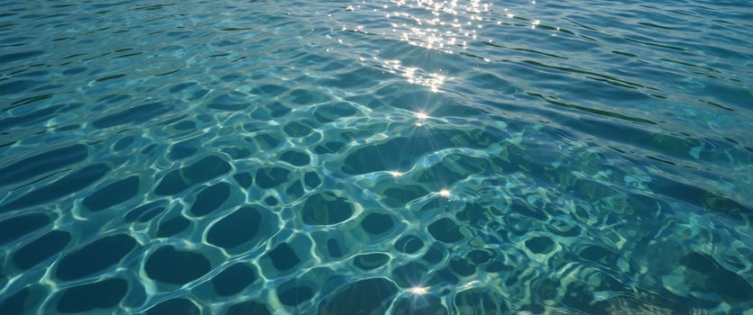 Light blue water surface with palm leaf shadow, summer vacation banner at the beach. photo