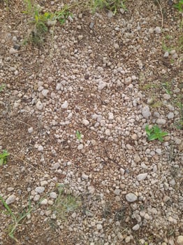A spread of small white pumice stones. These stones are used as a growing medium for ornamental plants, especially cacti and bonsai. photo