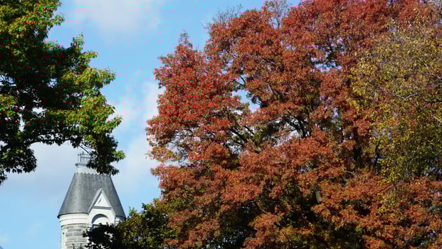 The beautiful central park autumn landscape with the colorful trees in New York photo