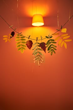 Bright orange autumn background with a garland of dry leaves with space for text. photo