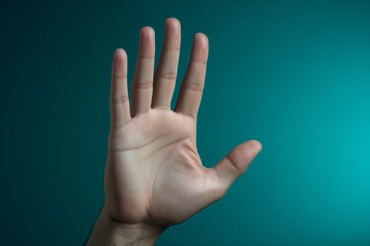 A close-up view of a hand showing texture and details. photo
