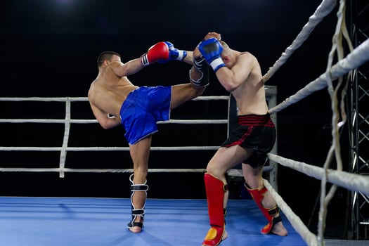 Kickboxing rivals unleash powerful leg strikes in a thrilling match. photo