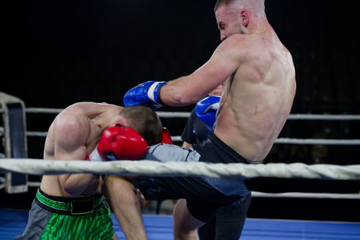 Kickboxing rivals unleash powerful leg strikes in a thrilling match. photo