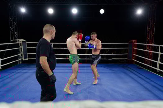 Kickboxing rivals unleash powerful leg strikes in a thrilling match. photo