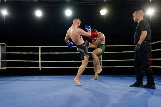 Kickboxing rivals unleash powerful leg strikes in a thrilling match. photo