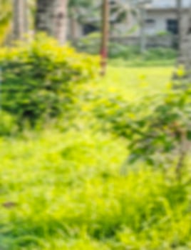 best photo editor to blur background
