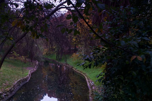 park, view, nature, autumn, spain, madrid, flora, plants, leaves photo