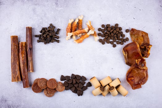 Assortment of different dog treats and snack photo