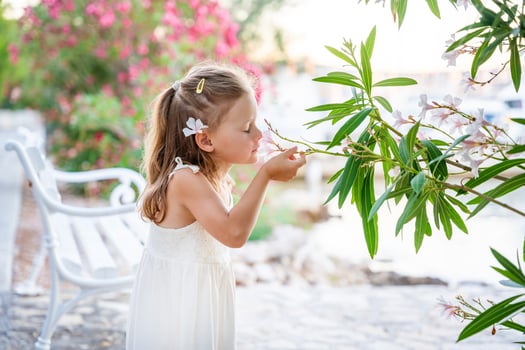 Portrait of little girl in white dress smelling flower on blooming park background in Croatia. High quality photo