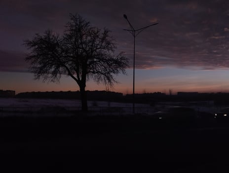 Silhouettes of Trees with Sunset Background. Black Silhouette on Red Blue Sunset Sky photo