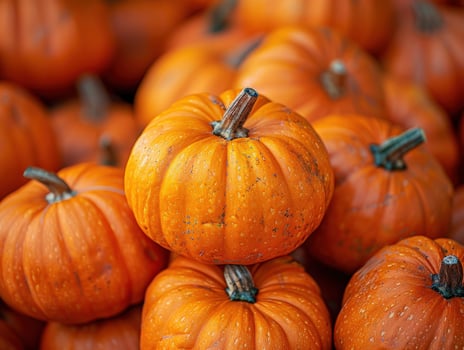 Large pile orange pumpkins stacked together, background blurred to highlight detailed textures photo