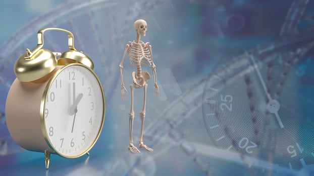 The skeleton and alarm clock for sci or medical concept 3d rendering. photo