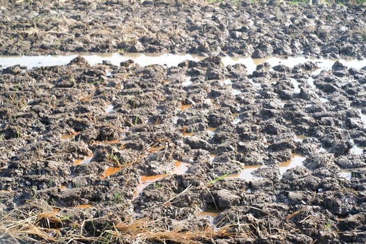 Textured Background of wet soil plowed. Rice field in planting season. Agriculture Business. Agriculture industry. Wallpaper Backgrounds. Detail of soil texture. photo