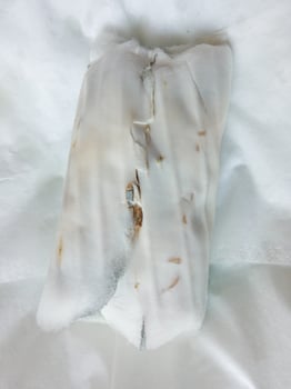 Traditional Indonesian food is tempeh with a white background photo