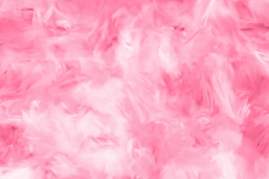 Abstract Colorful Feathers on White and Pink Backgrounds with Soft Texture, Valentine's Day Theme photo