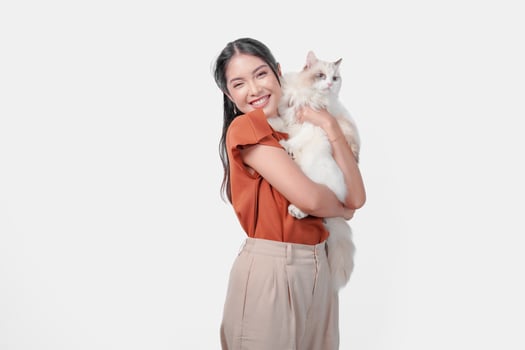 Cute young Asian woman in brown shirt is holding a white ragdoll cat and hugging it. photo