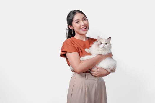 Smiling young Asian woman in brown shirt is holding a white ragdoll cat. photo