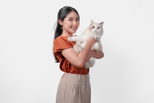 Pretty young Asian woman in a brown shirt is holding a white ragdoll cat and raising it high. photo