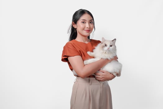 Smiling young Asian woman in brown shirt is holding a white ragdoll cat. photo
