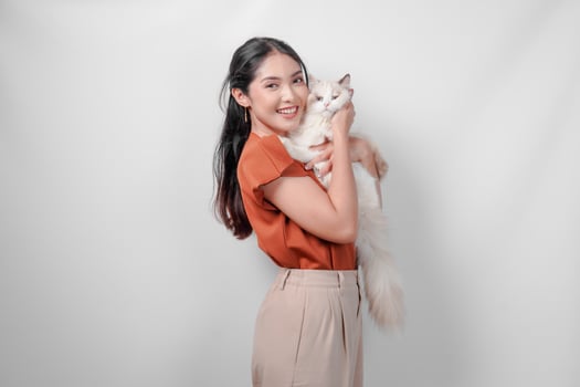 Cute young Asian woman in brown shirt is holding a white ragdoll cat and hugging it. photo