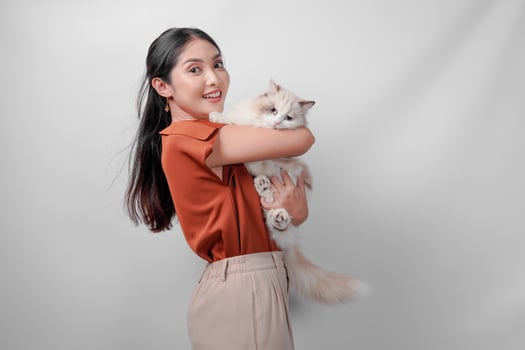 Pretty young Asian woman in a brown shirt is holding a white ragdoll cat and raising it high. photo