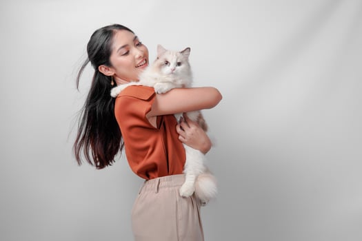 Pretty young Asian woman in a brown shirt is holding a white ragdoll cat and raising it high. photo