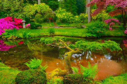 Japanese garden, Park Clingendael, The Hague, Netherlands photo
