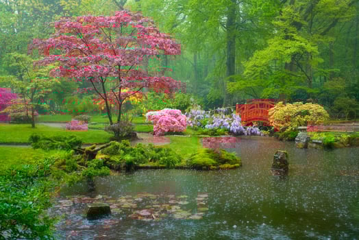Japanese garden, Park Clingendael, The Hague, Netherlands photo