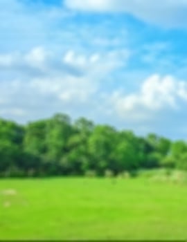 hd blur background photo
