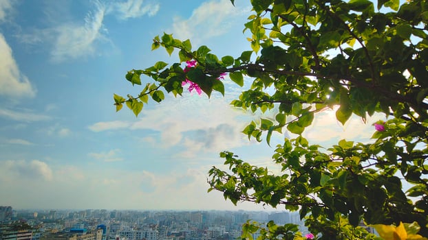 Amazing view of a cityscape with blue sunset Sky photo