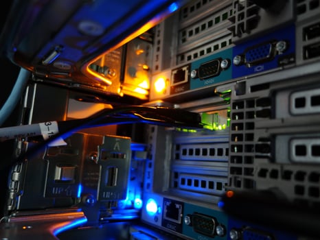network cables connected to switch - closeup of data center hardware technology photo