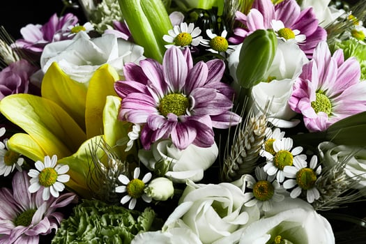 A variety of garden flowers close-up photo