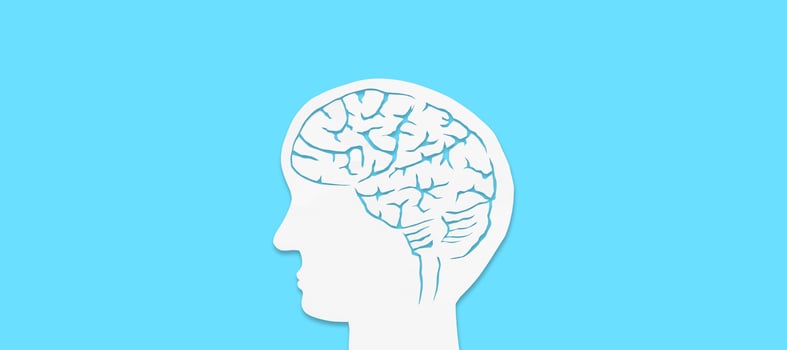 Human brain on a dark blue background. Brain anatomy low poly art. Nervous system medical banner. photo