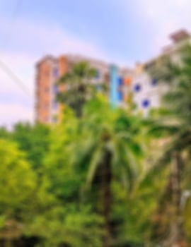 hd blur background photo