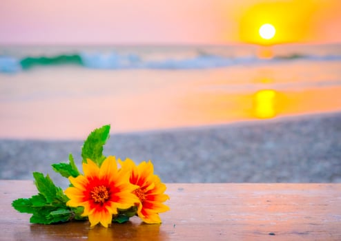 Flowers on a wooden table with blurred ocean sunset background photo