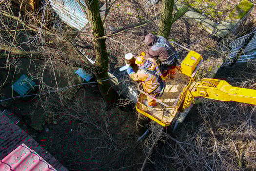 Municipal service workers stand with a chainsaw in a crane basket and trim dangerous trees photo