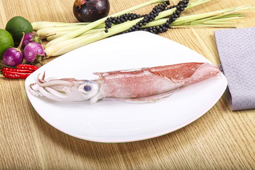 Raw fresh squid for cooking photo