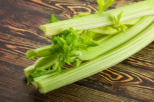 Vegan cuisine - raw celery stem photo