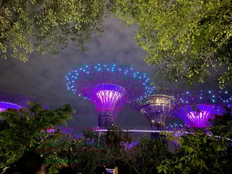 The Gardens By The Bay illuminated light show the supertree to life with a colourful light show to music Singapore 10 July 2024 photo