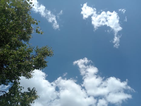 Sky with white cloud, good summer weather photo