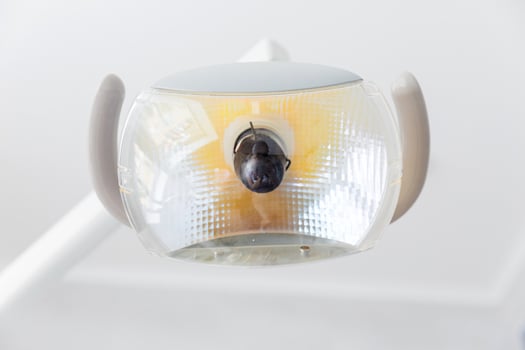 Dental Examination Light. Horizontal photo
