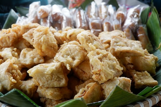 photography of close up fried tofu food photo